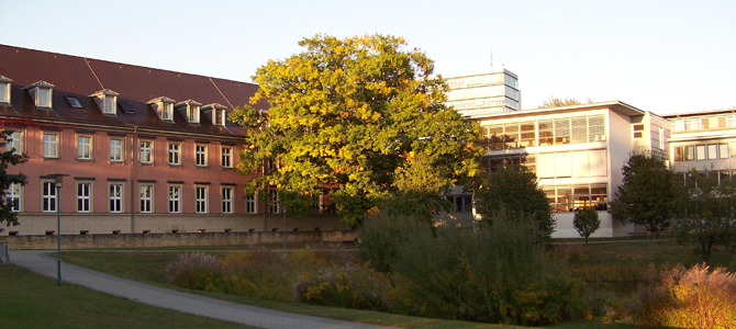 Bemessungsgrundlage für die Grunderwerbsteuer beim Grundstückskaufvertrag zwischen Gesellschaft und Gesellschafter